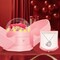Preserved Real Pink Rose with Necklace Forever Flowers Rose Birthday Gifts